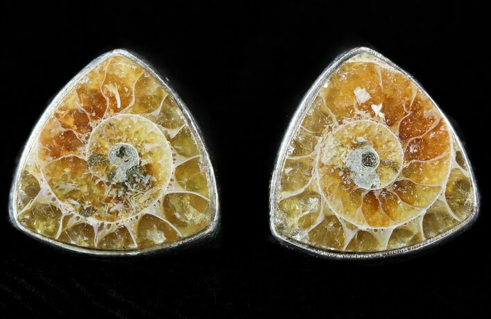 Fossil Ammonite Earrings (Studs) - Sterling Silver #48756